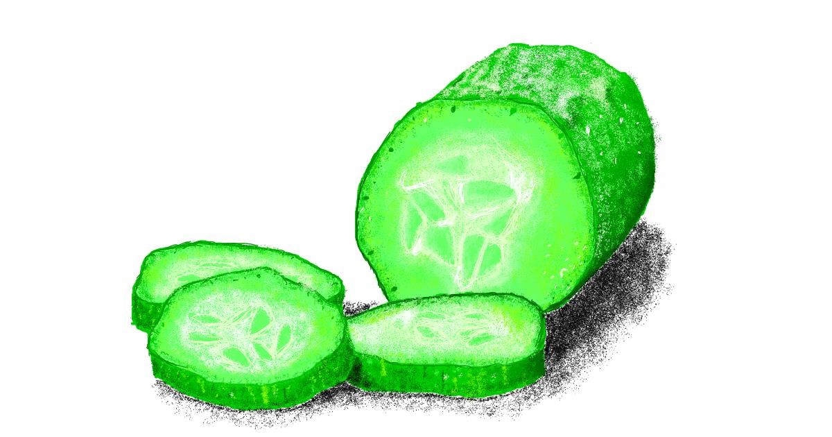 Drawing of Cucumber by Sam
