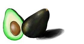 Drawing of Avocado by Randar