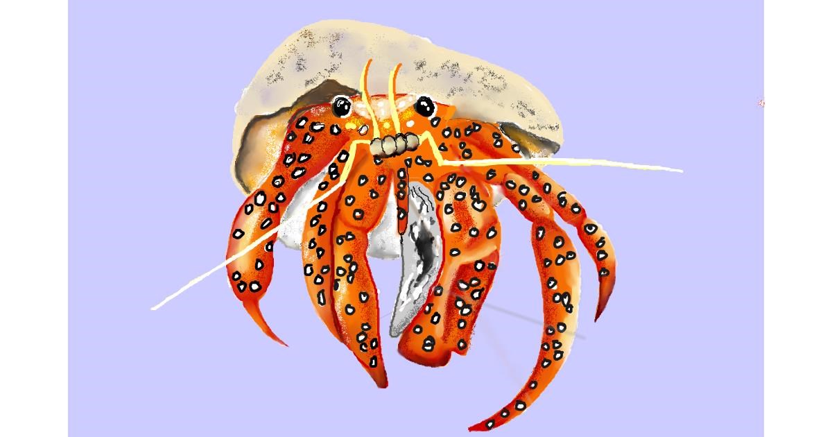 Drawing of Crab by GJP