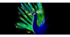 Drawing of Peacock by Annie