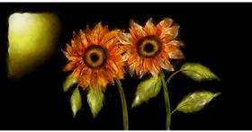Drawing of Sunflower by Eclat de Lune