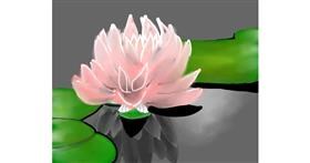 Drawing of Water lily by Bro 2.0😎
