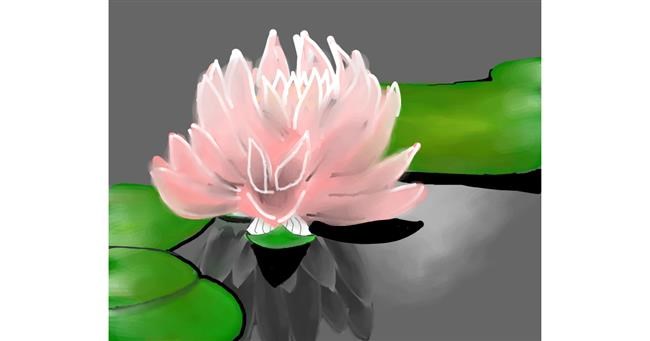 Drawing of Water lily by Bro 2.0😎