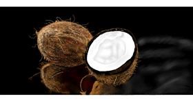 Drawing of Coconut by Chaching