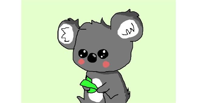 Drawing of Koala by Brynn