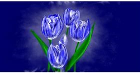 Tulipani - autor: Eclat de Lune