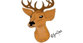 Drawing of Deer by Jennifreis