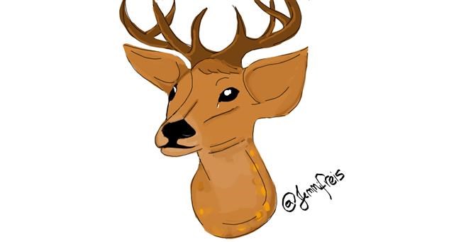 Drawing of Deer by Jennifreis