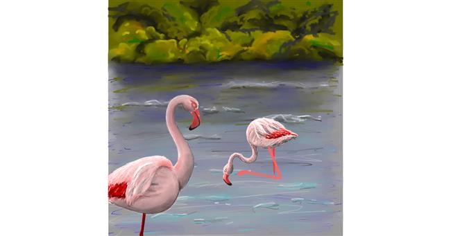 Drawing of Flamingo by Andromeda