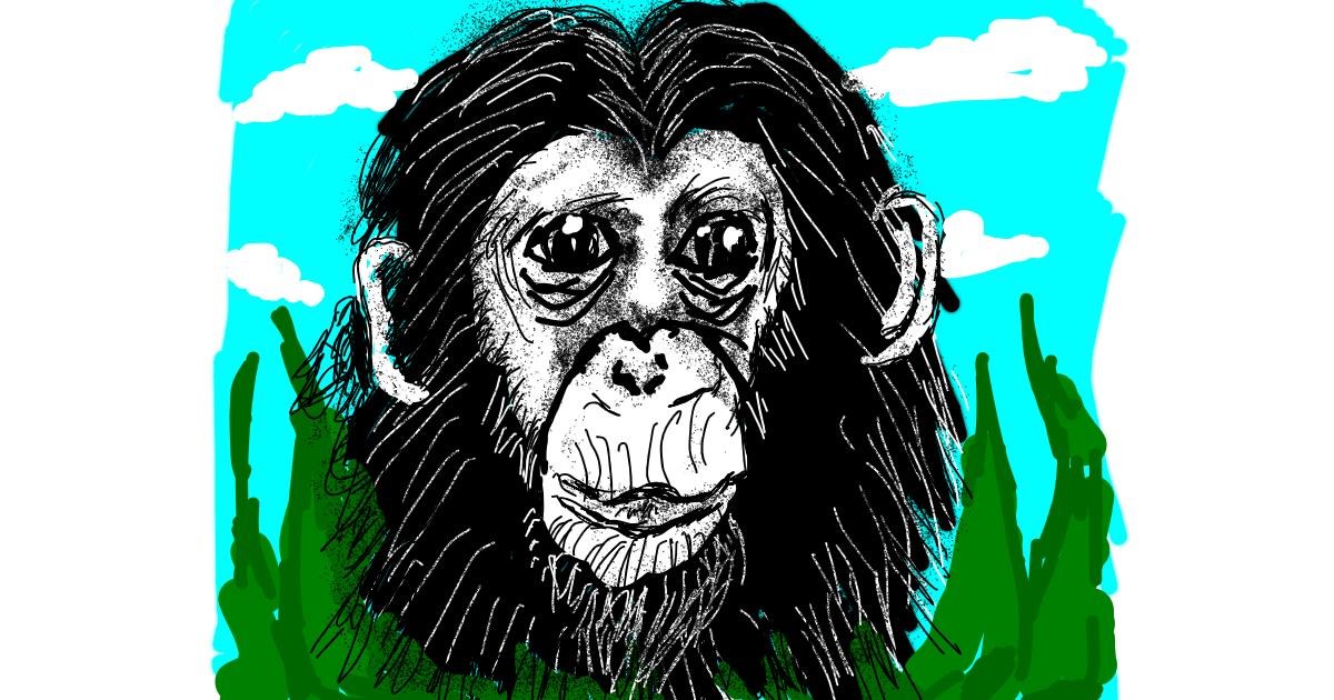 Drawing of Monkey by Cherri