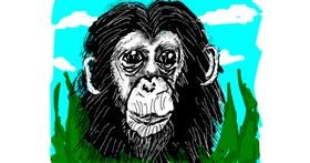 Drawing of Monkey by Cherri