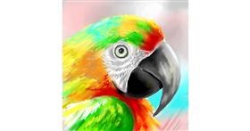 Drawing of Parrot by ⋆su⋆vinci彡