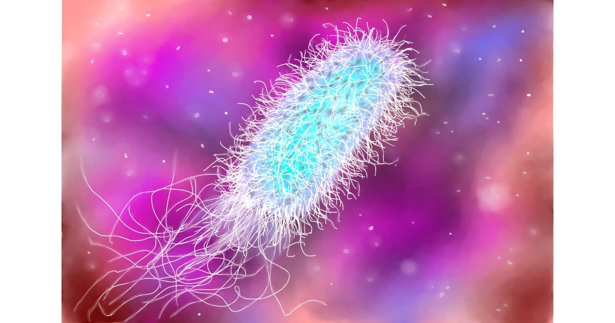 Drawing of Bacteria by Wizard