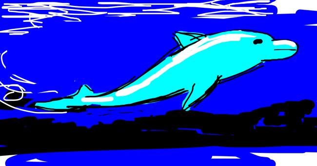 Drawing of Dolphin by Boris