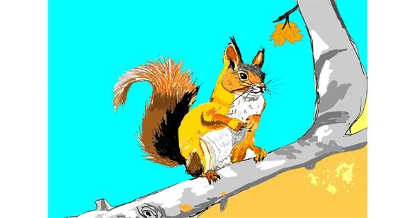 Drawing Of Squirrel By Dm Drawize Gallery