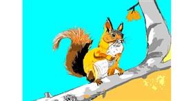 Drawing of Squirrel by Dm