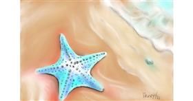 Drawing of Starfish by Wizard