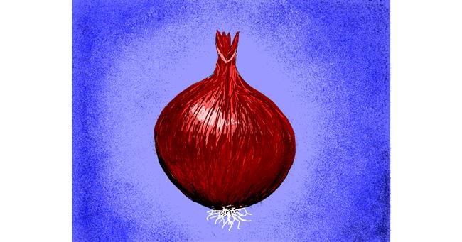Drawing of Onion by Darta