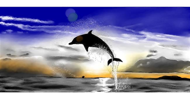 Drawing of Dolphin by Chaching