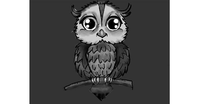 Drawing of Owl by kk
