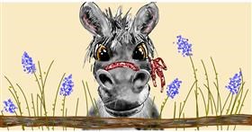 Drawing of Donkey by Eclat de Lune