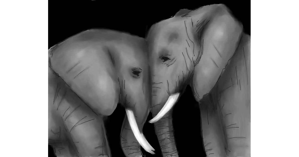 Drawing of Elephant by Sophie_draw24
