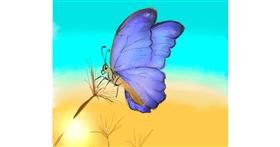 Drawing of Butterfly by Emilen