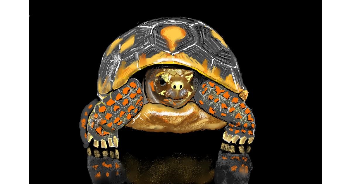 Drawing of Tortoise by GJP