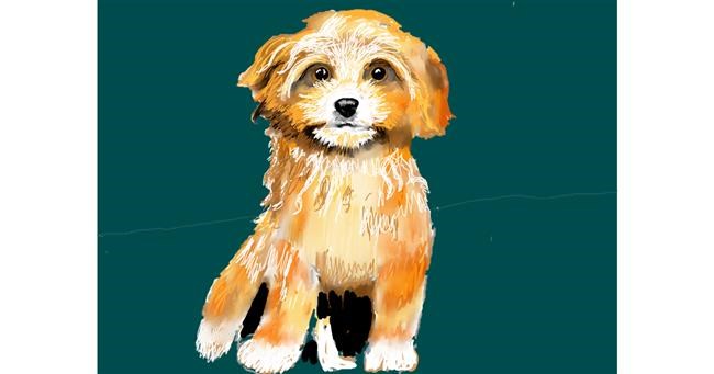 Hund-Zeichnung von SAM AKA MARGARET 🙄