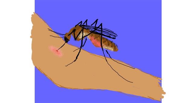 Drawing of Mosquito by Cherri