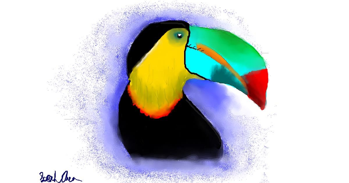 Drawing of Toucan by saraharts