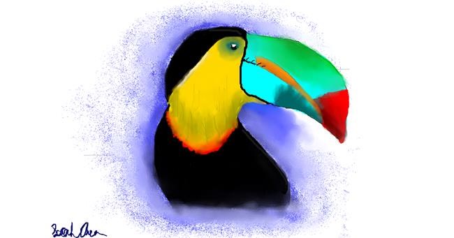 Drawing of Toucan by saraharts