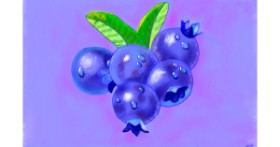 Drawing of Blueberry by GJP
