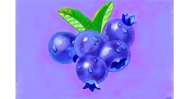 Drawing of Blueberry by GJP