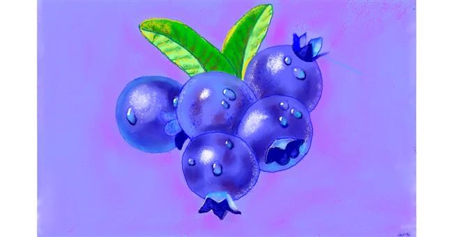 Drawing of Blueberry by GJP