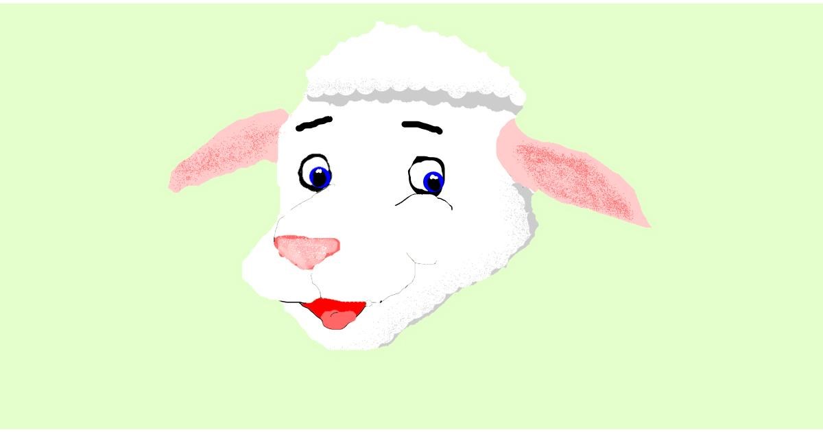 Drawing of Sheep by DrawStar