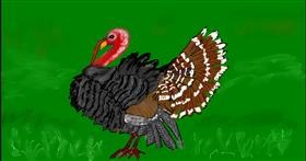 Drawing of Turkey by Maggy