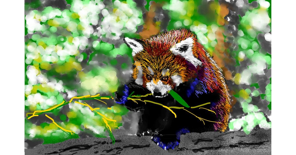 Roter Panda Zeichnung Von Teidolo Drawize Galerie