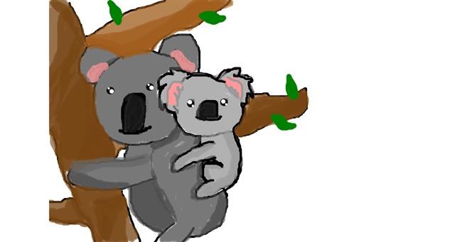 Drawing of Koala by ooooof👻👻👻