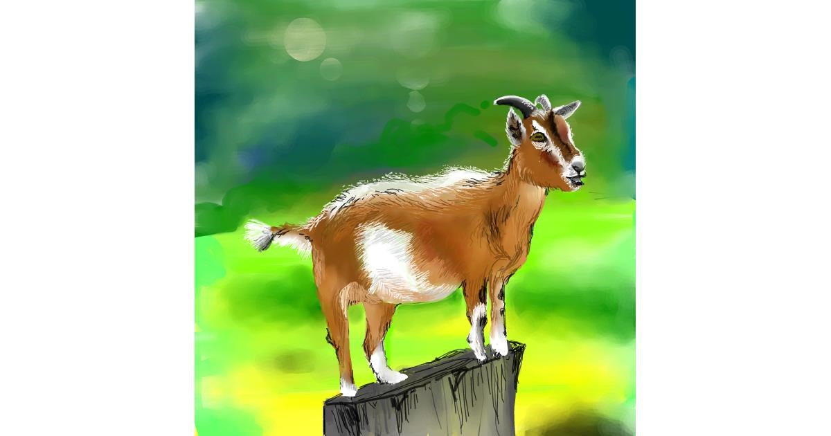 Drawing of Goat by Keke