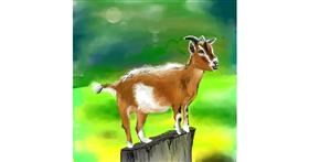 Drawing of Goat by Keke •_•