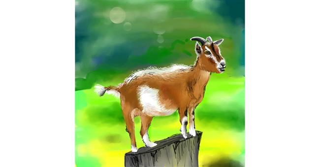 Drawing of Goat by Keke •_•