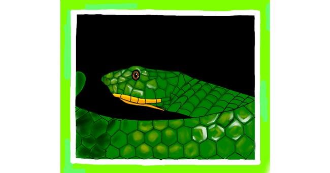 Drawing of Snake by Abeer