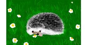 Drawing of Hedgehog by Unknown