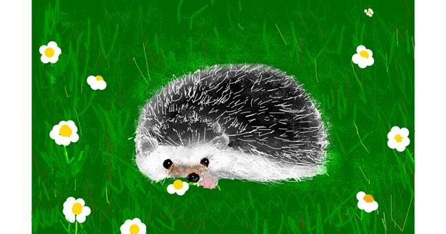 Drawing of Hedgehog by Unknown