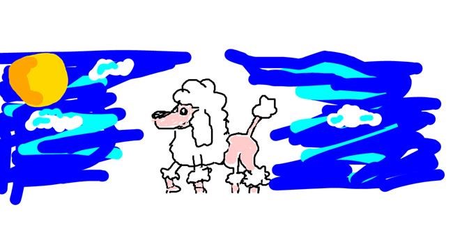 Drawing of Poodle by barbiana