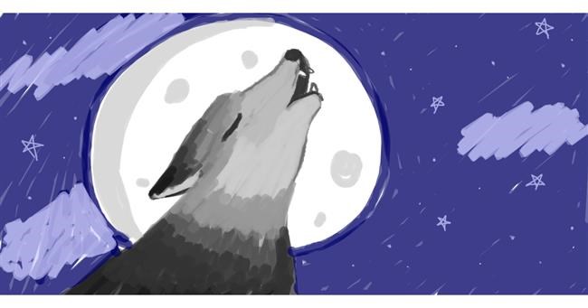 Drawing of Wolf by karinalya