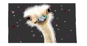 Drawing of Ostrich by DebbyLee