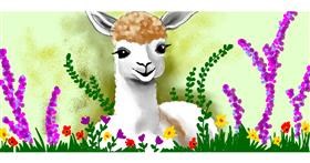 Lama-Zeichnung von justme❤️