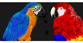 Drawing of Parrot by Temüjin
